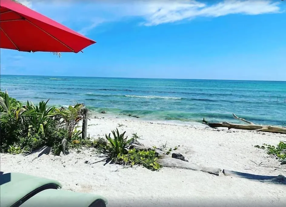 Tranquility Oasis Apartment Chetumal