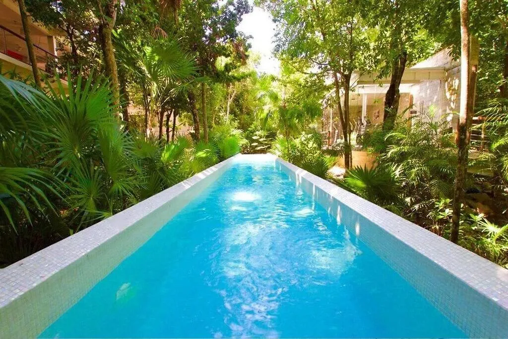 Tranquility Oasis Apartment Chetumal